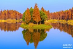 岳麓區網頁制作公司制作的流程